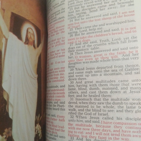 Holy Bible Catholic Memorial Edition 1976 - Picture 9 of 16